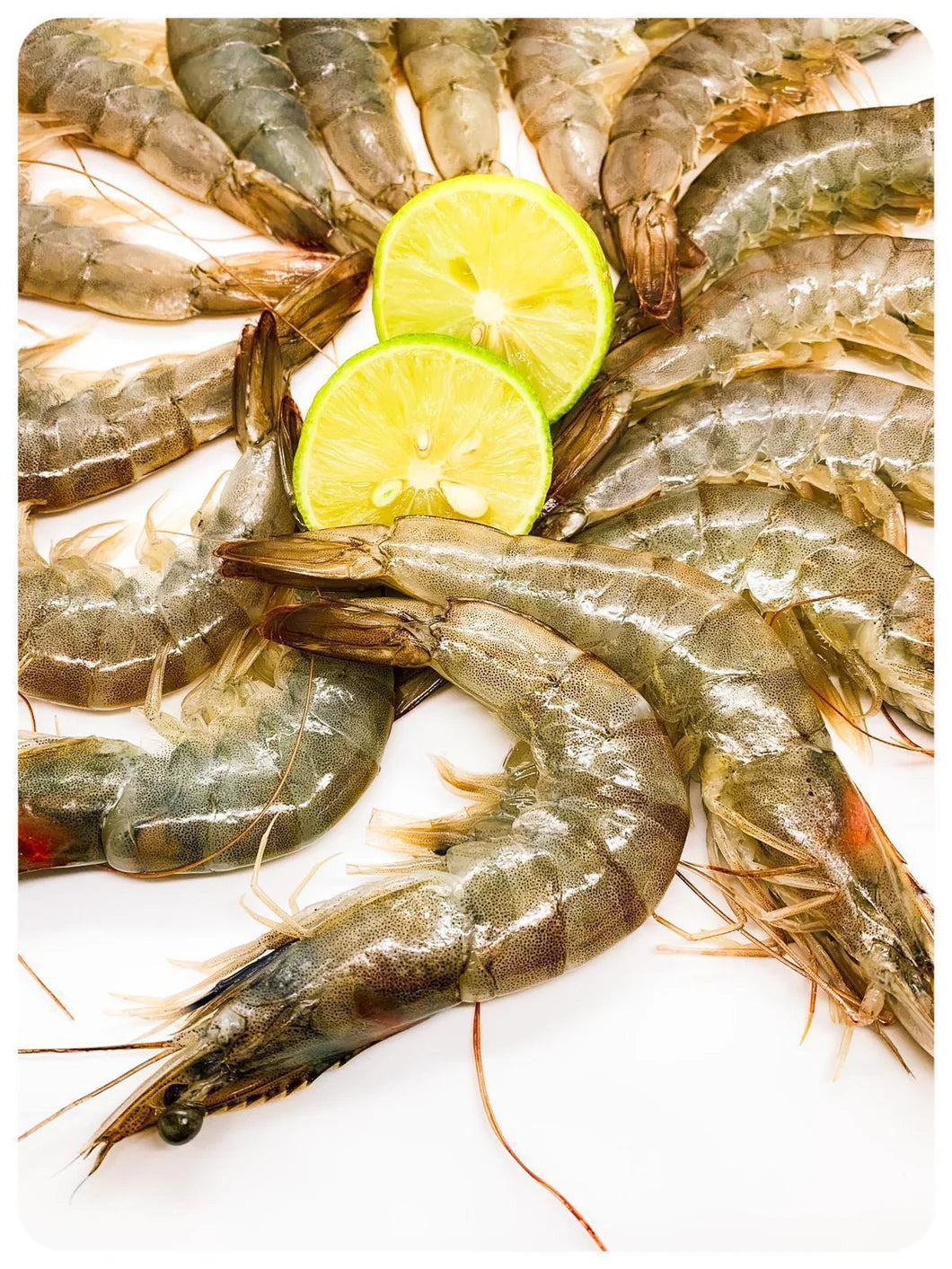 Whole Shrimp 20/30 - 4 lbs Bag