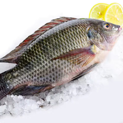 Tilapia Case - 40 lbs Case