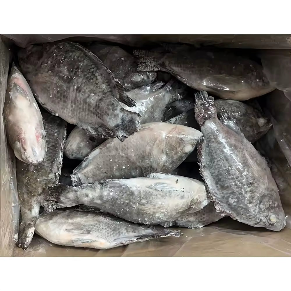 Tilapia Case - 40 lbs Case