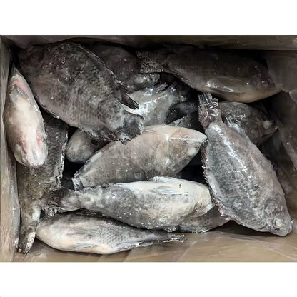 Tilapia Case - 40 lbs Case
